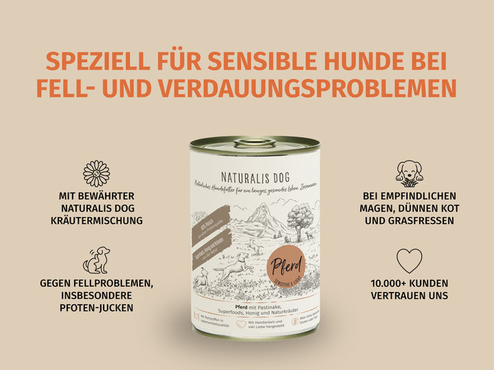 Pferd mit Pastinake und Naturkräutern
