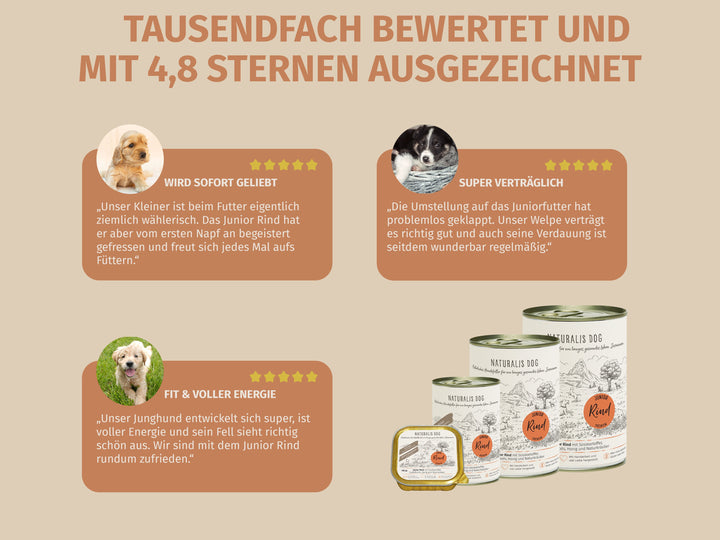 Junior Rind mit Süsskartoffel und Naturkräutern