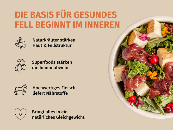Sensitive-Bundle Pferd zur gezielten Unterstützung bei Fell-Problemen