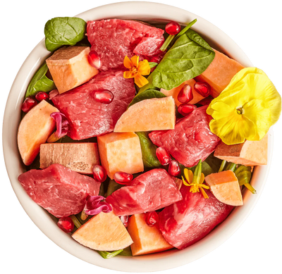 Nassfutter Rind mit Süsskartoffel und Naturkräutern