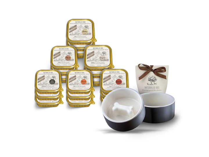 BUNDLE: Rundum-Sorglos-Paket Deluxe für kleine Hunde