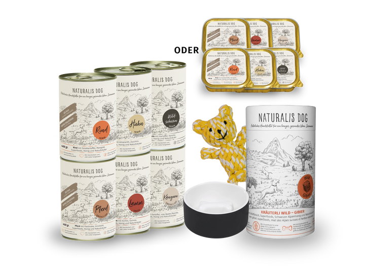 BUNDLE : petit paquet complet sans soucis
