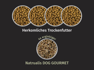 Vegetarisch mit Pastinake, Zucchini, Superfoods und Naturkräuter