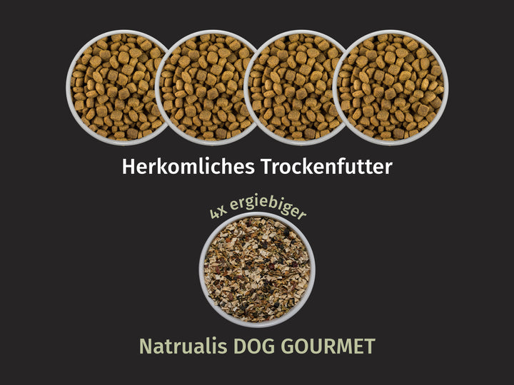 Vegetarisch mit Pastinake, Zucchini, Superfoods und Naturkräuter