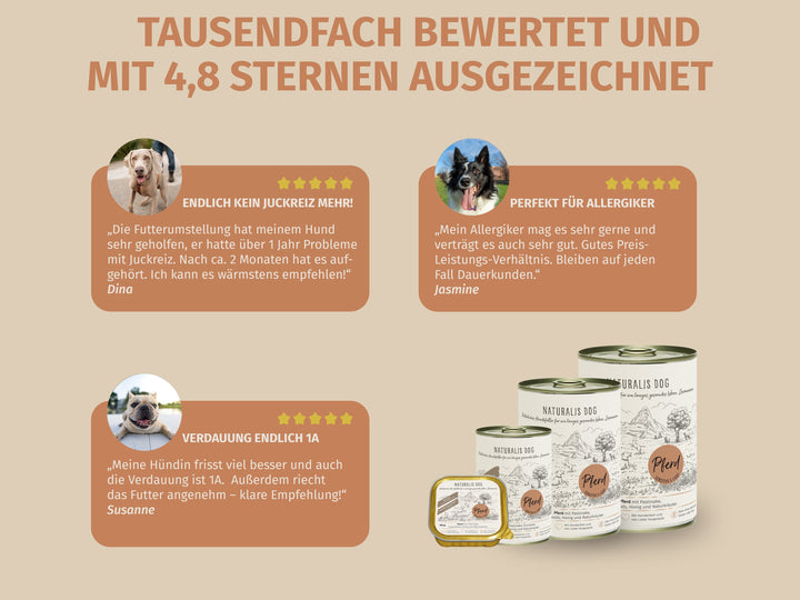 Pferd mit Pastinake und Naturkräutern